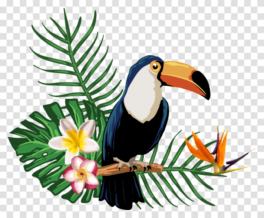 For Tropical Plant Animals Free Download, Bird, Beak, Toucan, Vegetation Transparent Png