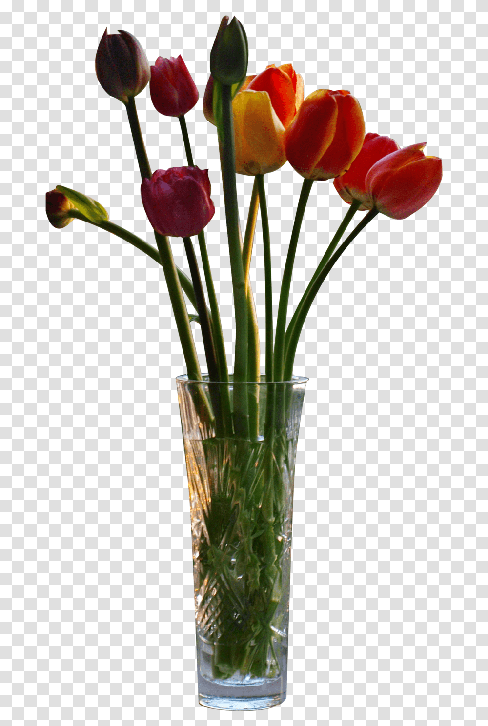 For Your Desktop Picture Flower Vase Cut Out, Plant, Blossom, Flower Arrangement, Jar Transparent Png