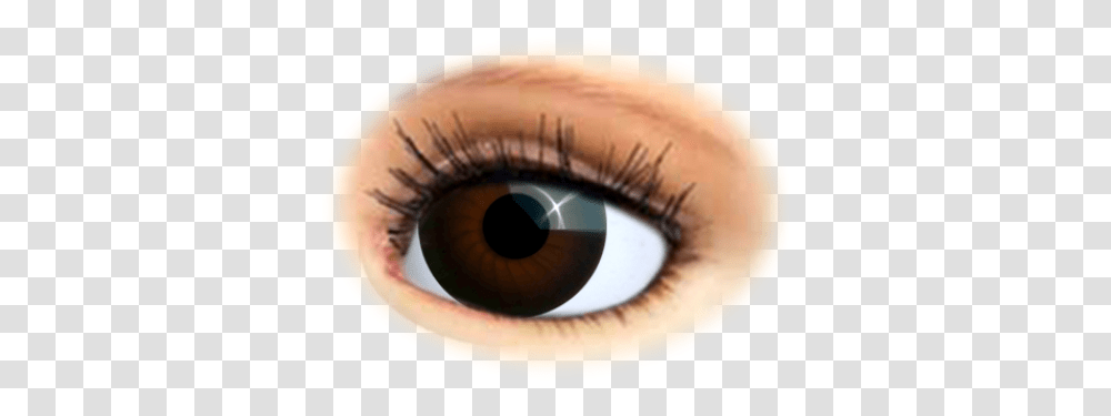 For Yourdollsantiqueeyessuperiorroundbrown Doll Eyes, Contact Lens, Person, Human, Cosmetics Transparent Png
