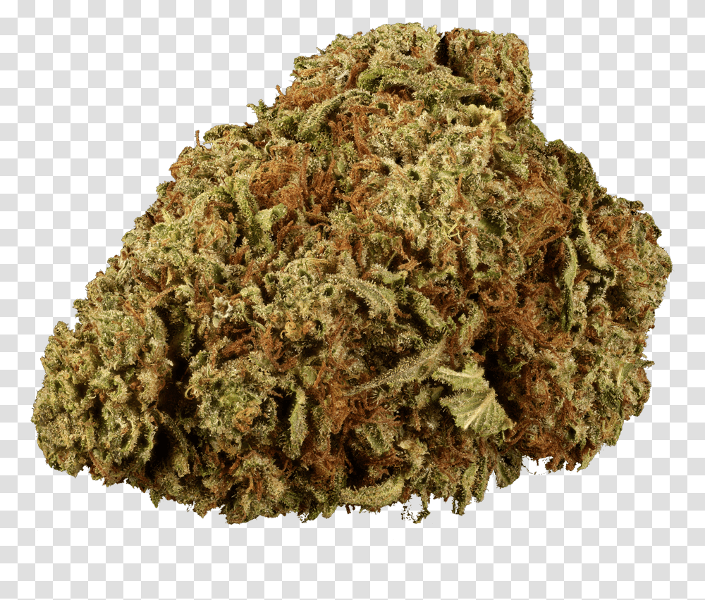 Forbidden Fruit Marijuana, Plant, Weed, Moss, Pineapple Transparent Png
