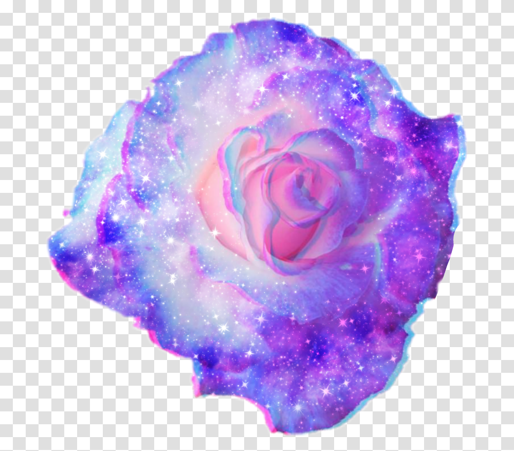 Forbidden To Use This Sticker As Yours Purple Flower, Rose, Crystal, Mineral, Sea Life Transparent Png