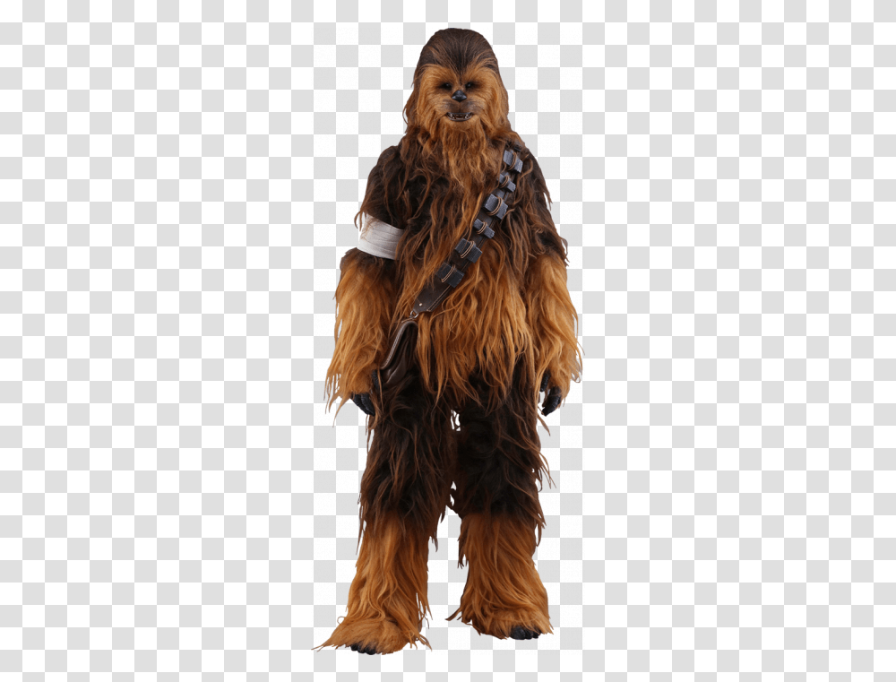 Force Awakens Chewbacca Hot Toys Star Wars Chewbacca, Clothing, Hair, Fur, Person Transparent Png