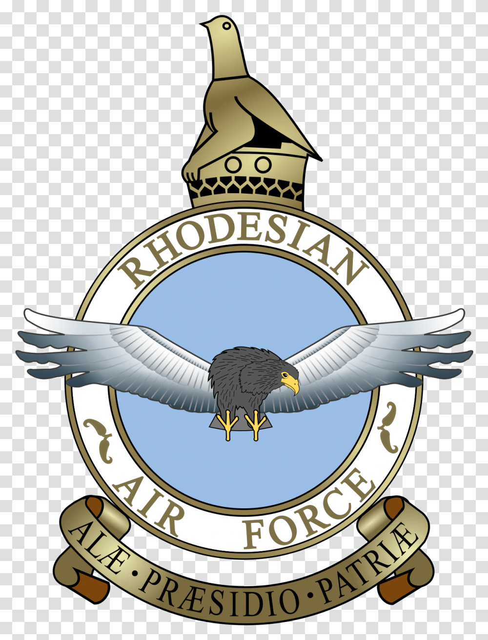 Force Drawing Royal Rhodesian Air Force, Eagle, Bird, Animal, Symbol Transparent Png