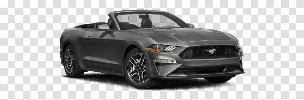 Ford Mustang Logo, Car, Vehicle, Transportation, Sports Car Transparent Png