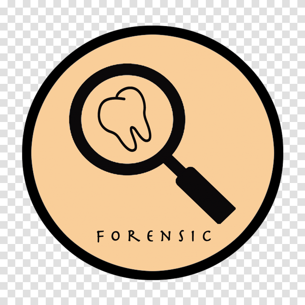 Forensic Dentistry Apdsa Annual Congress Singapore, Magnifying, Meal, Food Transparent Png