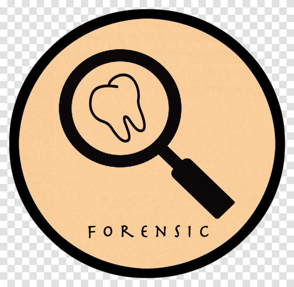 Forensic Dentistry Clipart Download Forensic Odontology Clipart, Magnifying, Label Transparent Png