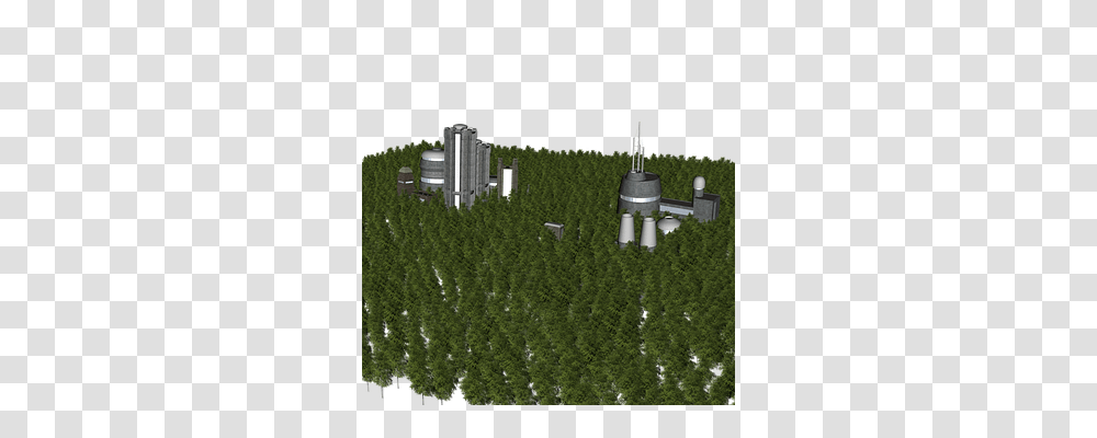 Forest Nature, Plant, Tree, Minecraft Transparent Png