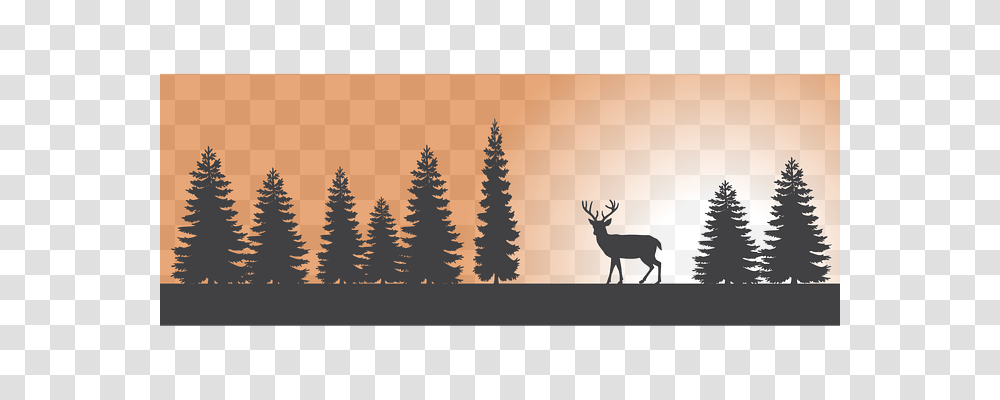 Forest Nature, Elk, Deer, Wildlife Transparent Png