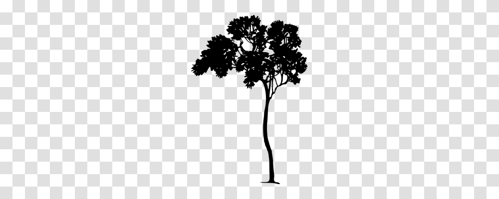 Forest Nature, Gray, World Of Warcraft Transparent Png