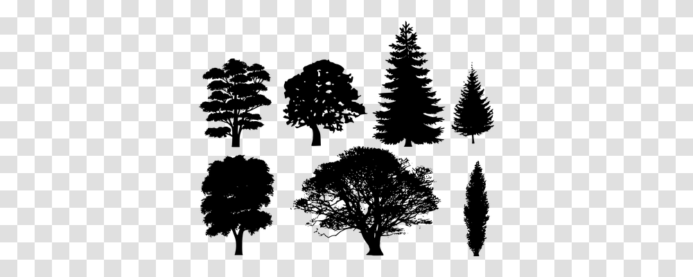 Forest Nature, Gray, World Of Warcraft Transparent Png