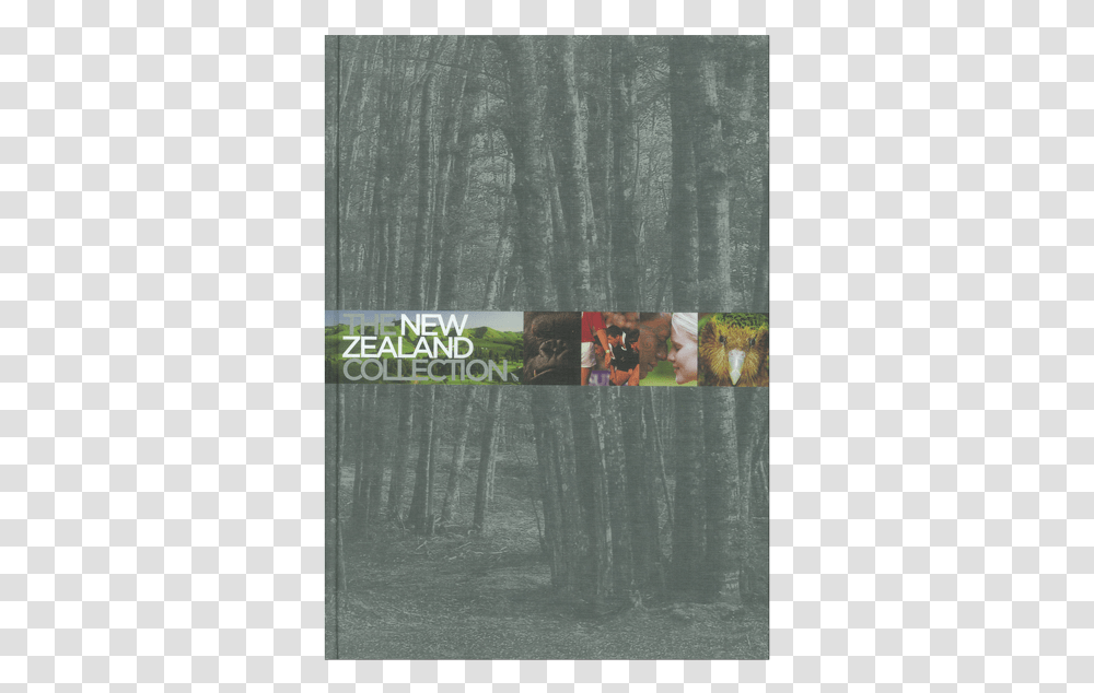 Forest, Advertisement, Poster, Collage Transparent Png