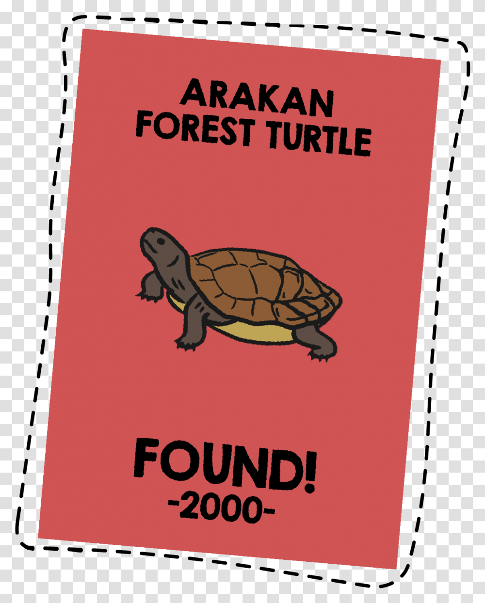 Forest Animals, Sea Life, Turtle, Reptile, Tortoise Transparent Png