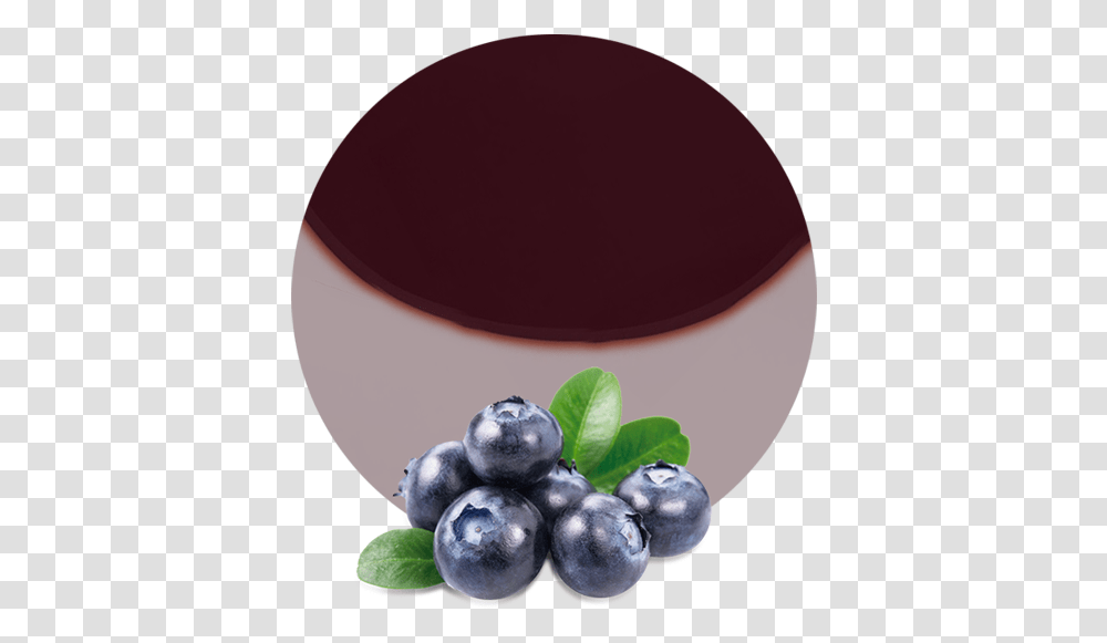 Forest Blueberry, Plant, Fruit, Food, Grapes Transparent Png