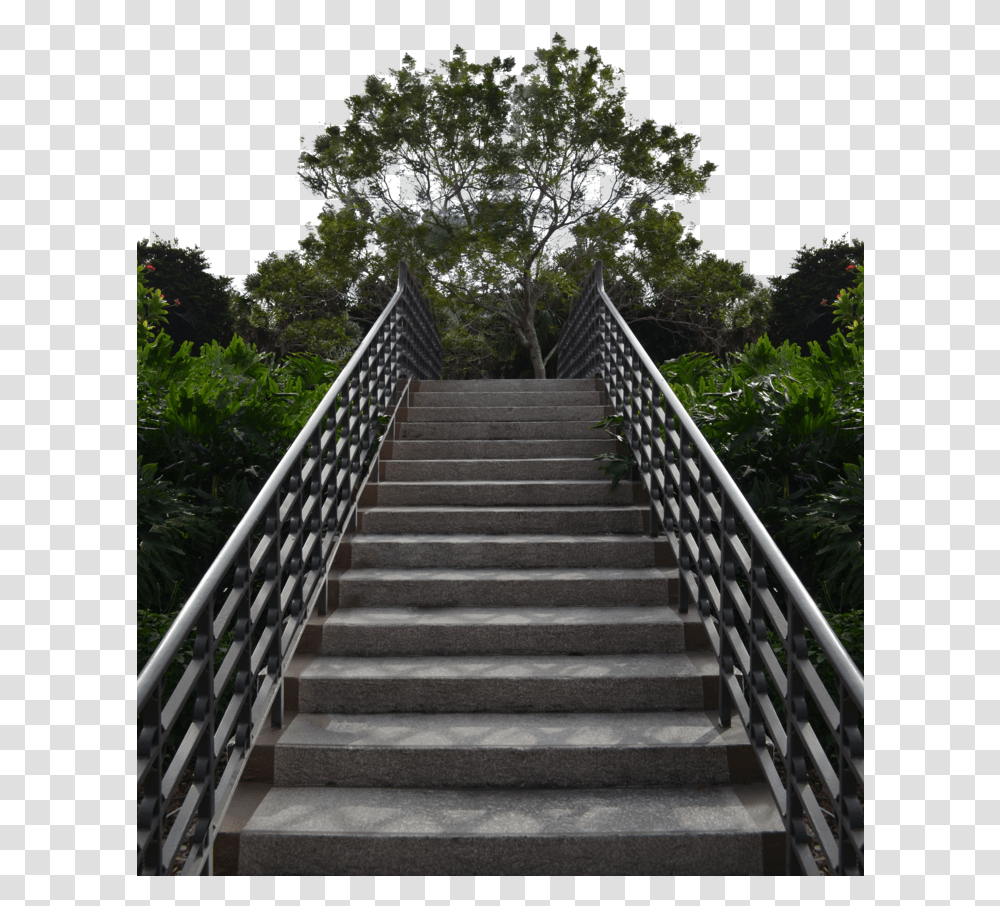 Forest Clipart Backgrounds Full Hd Background, Staircase, Garden, Outdoors, Arbour Transparent Png