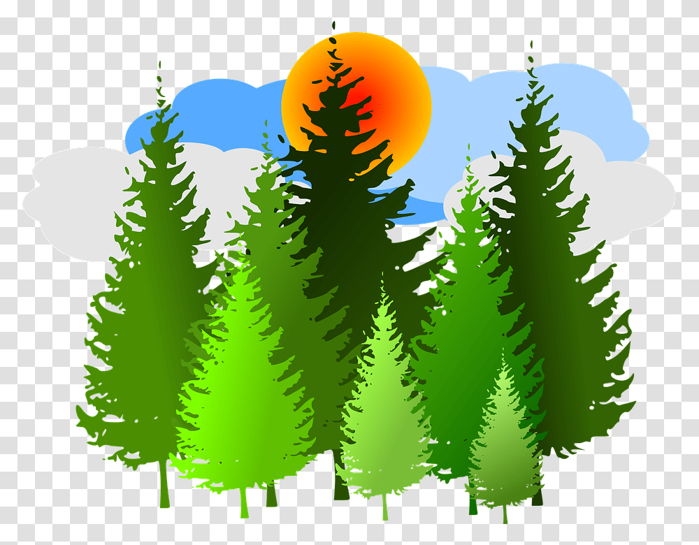 Forest Clipart Forest Clipart, Tree, Plant, Pine, Ornament Transparent Png