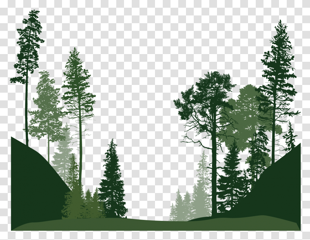 Forest Clipart Forest Trees Silhouette, Plant, Green, Vegetation, Fir Transparent Png