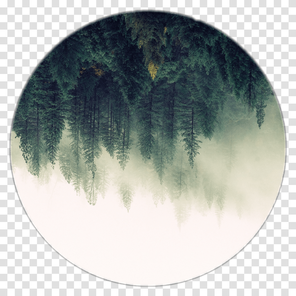 Forest Clipart Forrest Forest Circle, Moon, Outer Space, Night, Astronomy Transparent Png