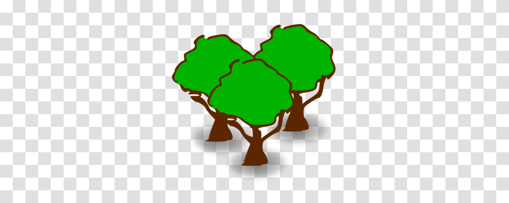 Forest Cover Forestry Woodland Tree, Map, Diagram, Green, Hand Transparent Png