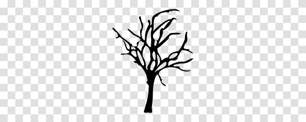 Forest Decline Nature, Gray, World Of Warcraft Transparent Png