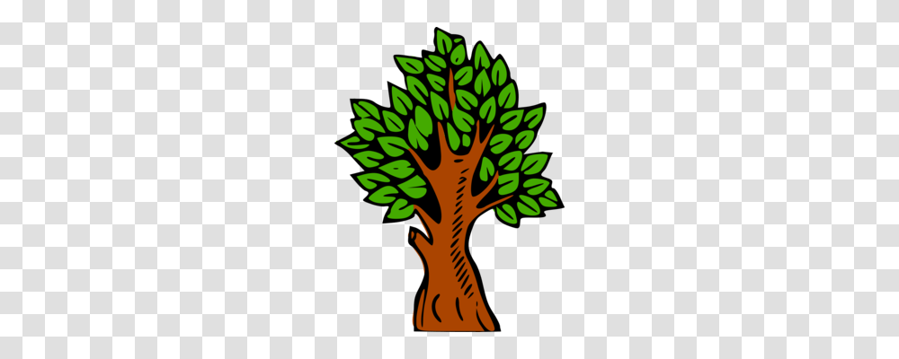 Forest Download Computer Icons Tree Drawing, Plant, Leaf Transparent Png