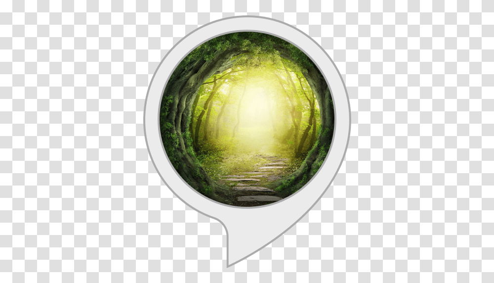 Forest Fantasy Music & Background Amazonin Alexa Skills Magic Forest Drawing Dark, Fisheye, Painting, Art, Dish Transparent Png