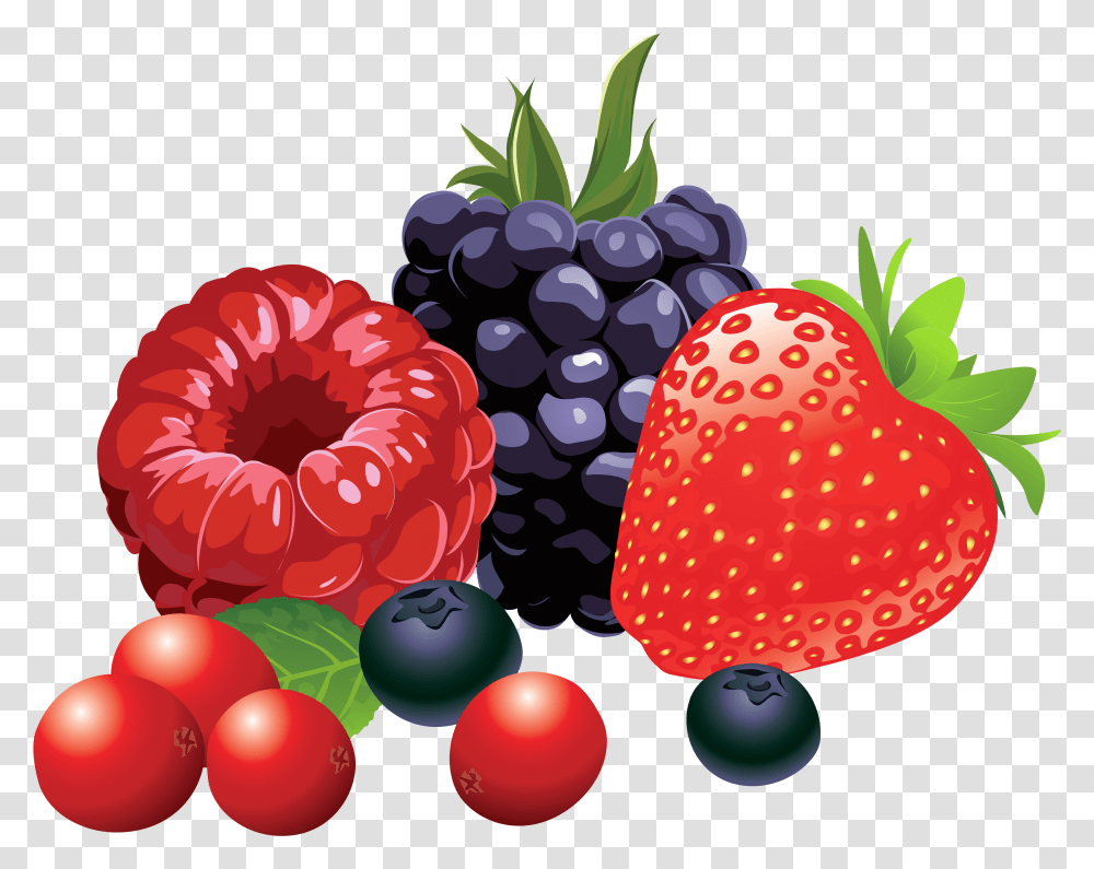 Forest Fruits Vector Berries Clipart, Plant, Food, Raspberry, Strawberry Transparent Png