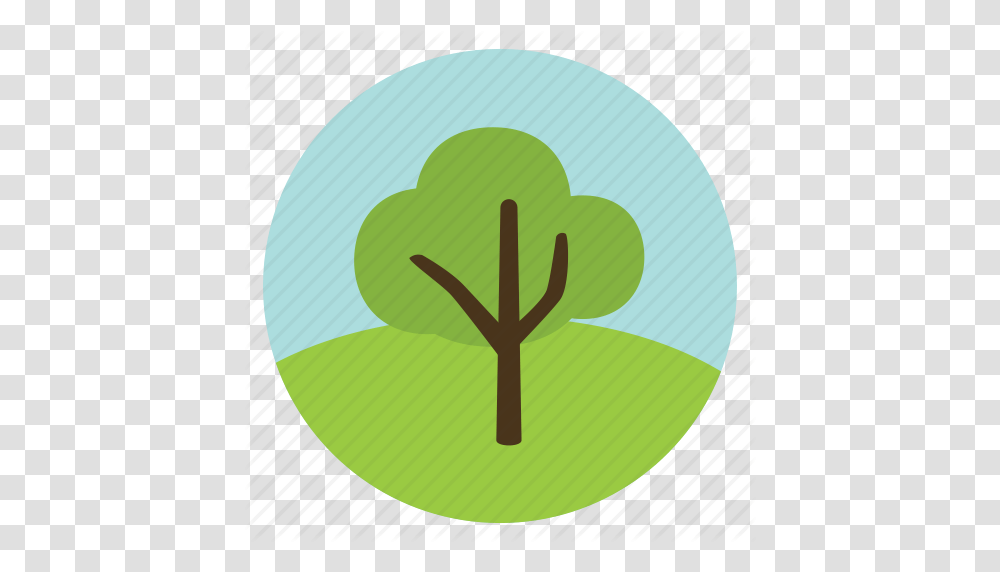 Forest Green Leaves Nature Olive Tree Woods Icon, Plant, Produce, Food, Anther Transparent Png