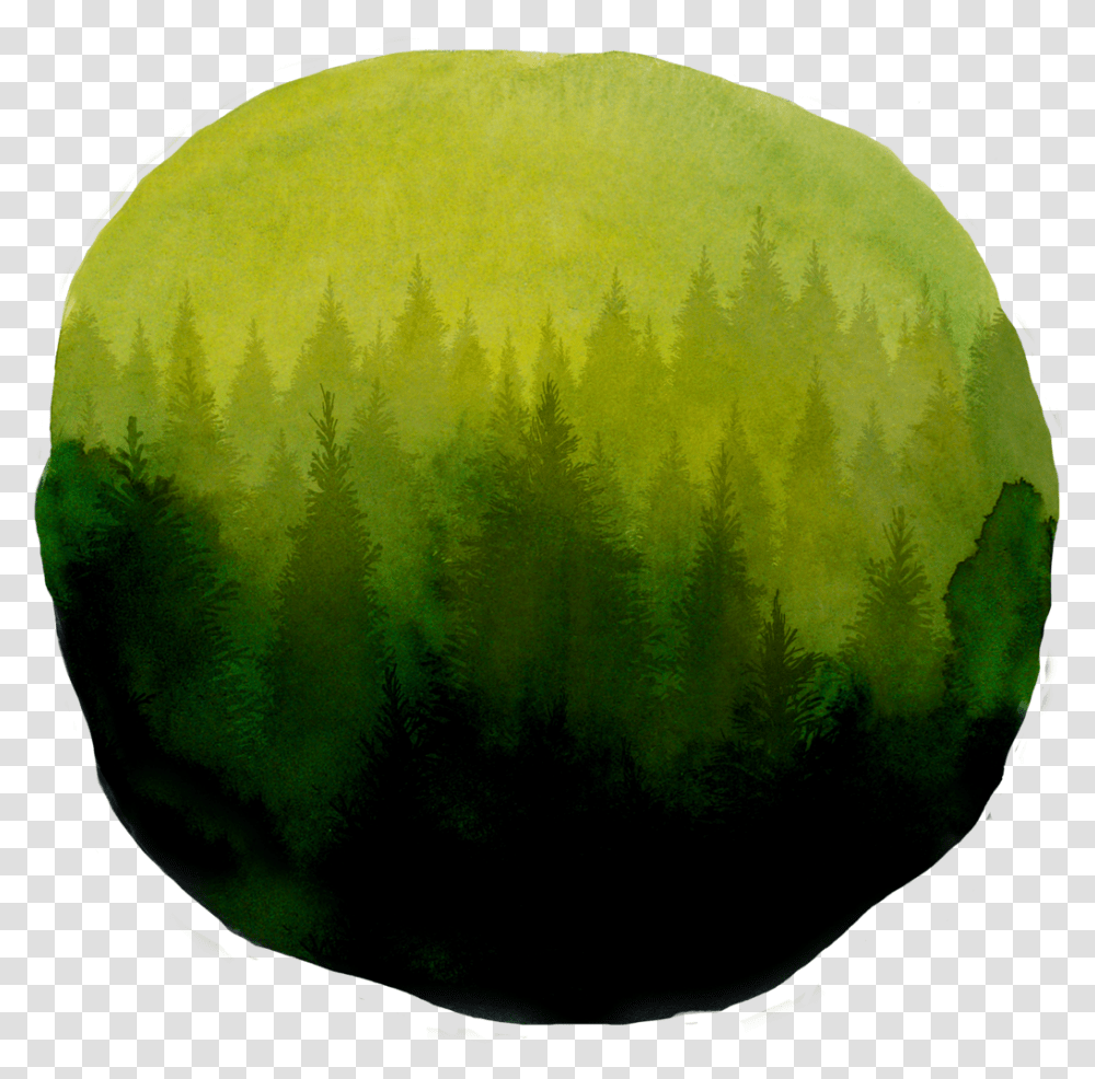 Forest Green Watercolor Download Forest Watercolor, Tennis Ball, Sport, Sports, Sphere Transparent Png