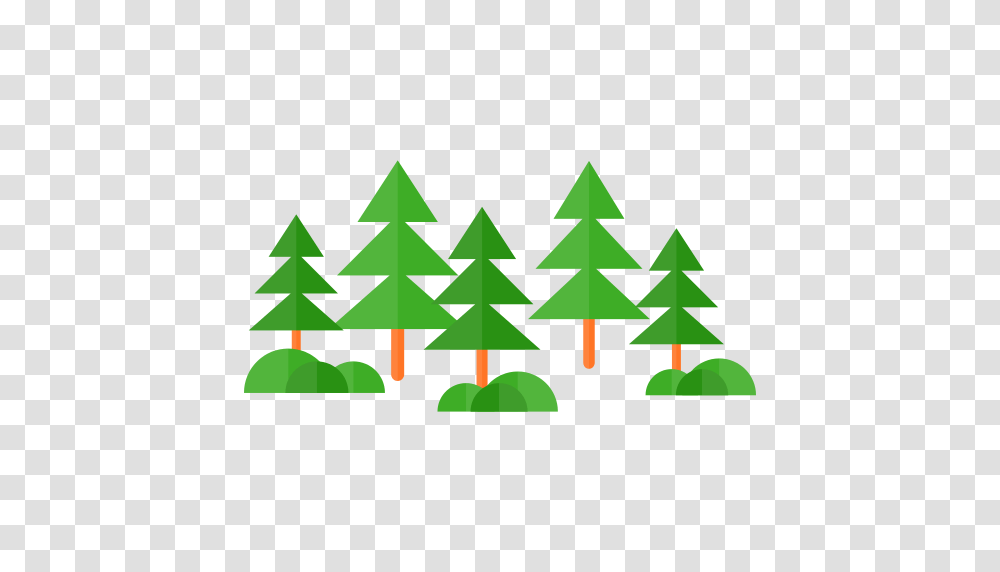 Forest Icon, Tree, Plant, Triangle, Lighting Transparent Png