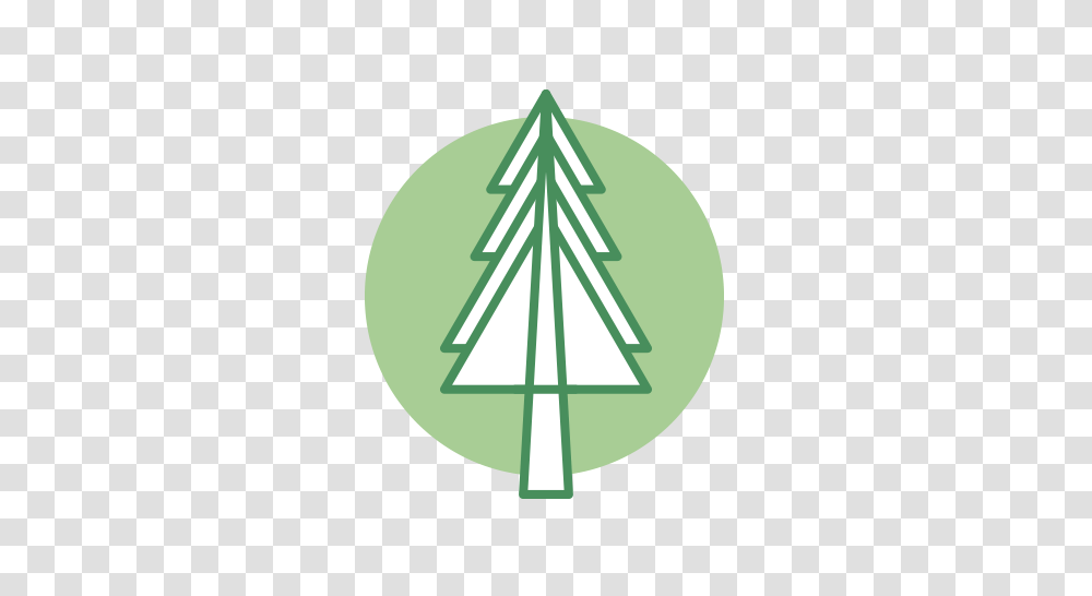 Forest Icons, Emblem, Logo, Trademark Transparent Png