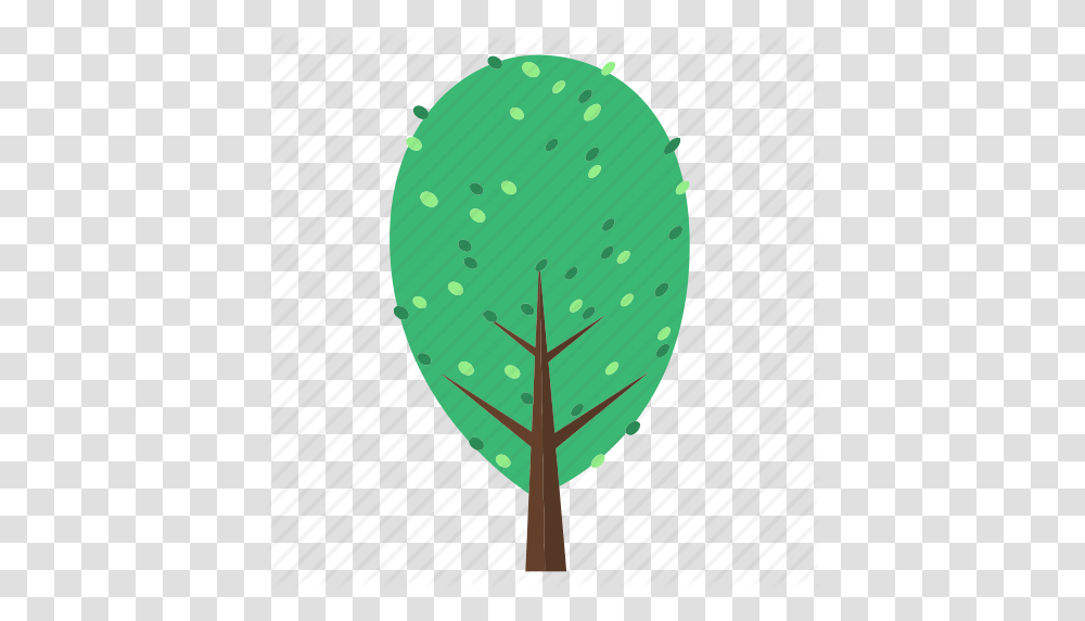 Forest Jungle Leaves Nature Plant Tree Trees Icon, Lamp, Cucumber, Vegetable, Food Transparent Png