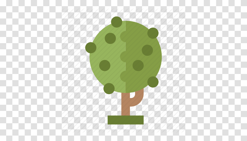 Forest Jungle Nature Perennial Tree Icon, Toy Transparent Png