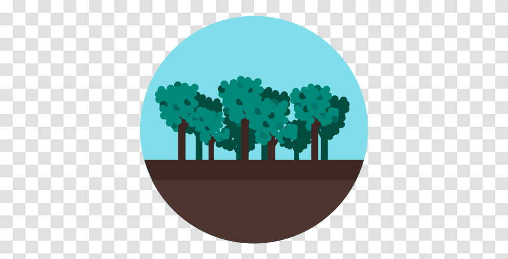 Forest Jungle Tree Wood Icon Forest Icon, Vegetation, Plant, Bush, Outdoors Transparent Png