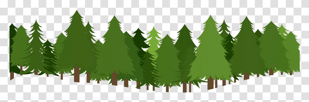 Forest Photo Cartoon Snowy Forest Background, Tree, Plant, Ornament, Christmas Tree Transparent Png