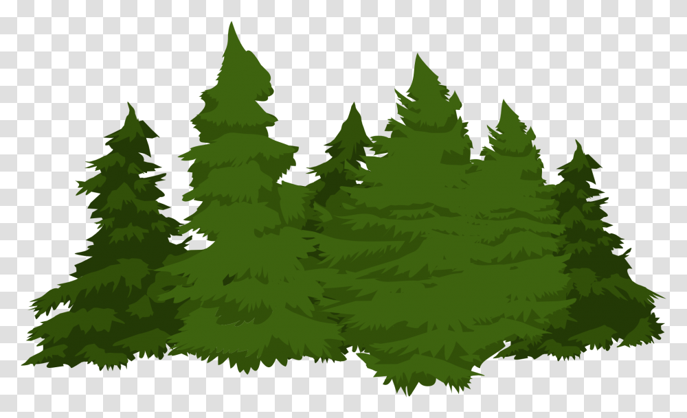 Forest Pine Trees Picture Pine Trees Cartoon, Plant, Fir, Abies, Green Transparent Png