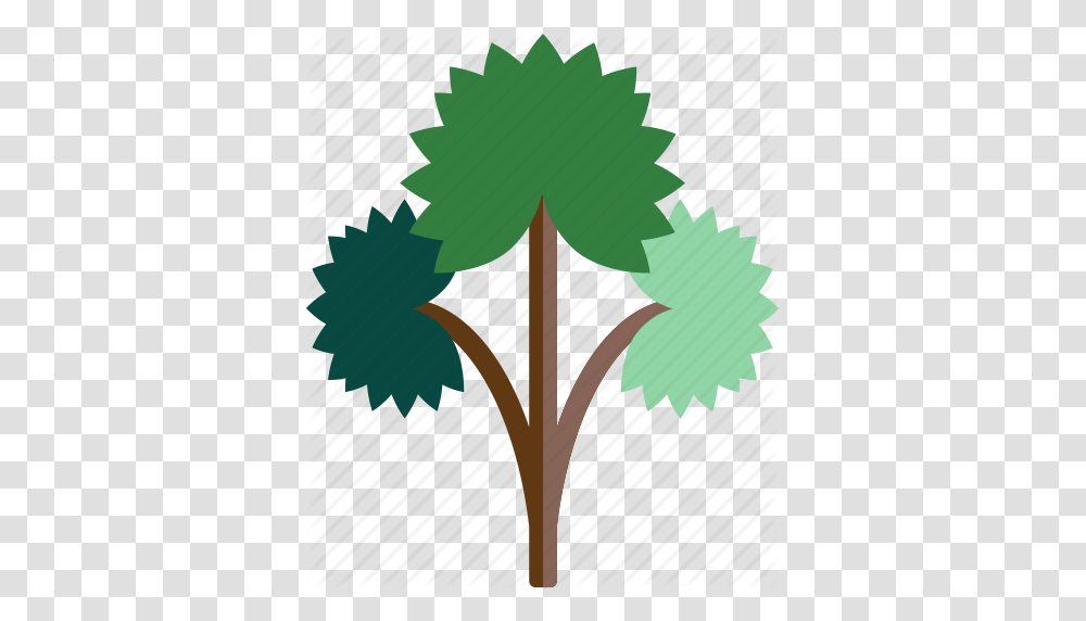 Forest Rain Tree Icon, Plant, Leaf, Flower, Bush Transparent Png