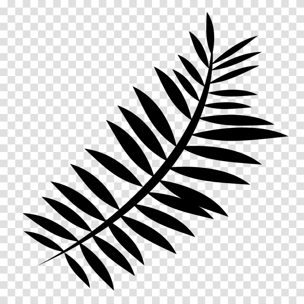 Forest Silhouette Nature Fern Plant Green, Gray, World Of Warcraft Transparent Png