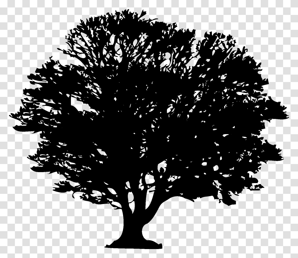 Forest Silhouette, Tree, Plant, Tree Trunk, Stencil Transparent Png