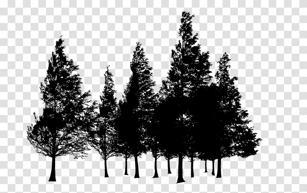 Forest Silhouette Trees, Gray, World Of Warcraft Transparent Png