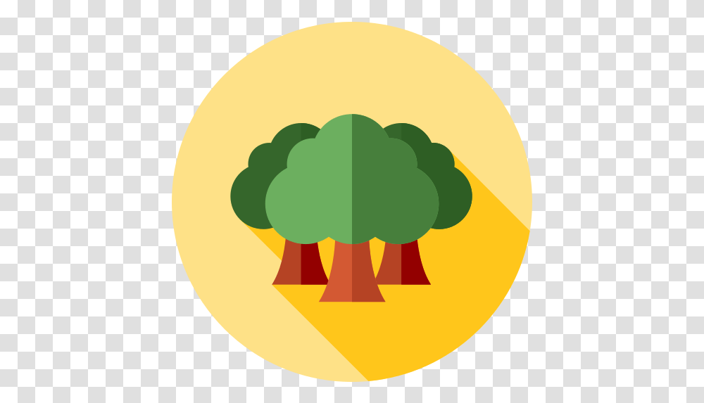 Forest Tree Icon 5 Repo Free Icons Portable Network Graphics, Plant, Food, Vegetable, Text Transparent Png