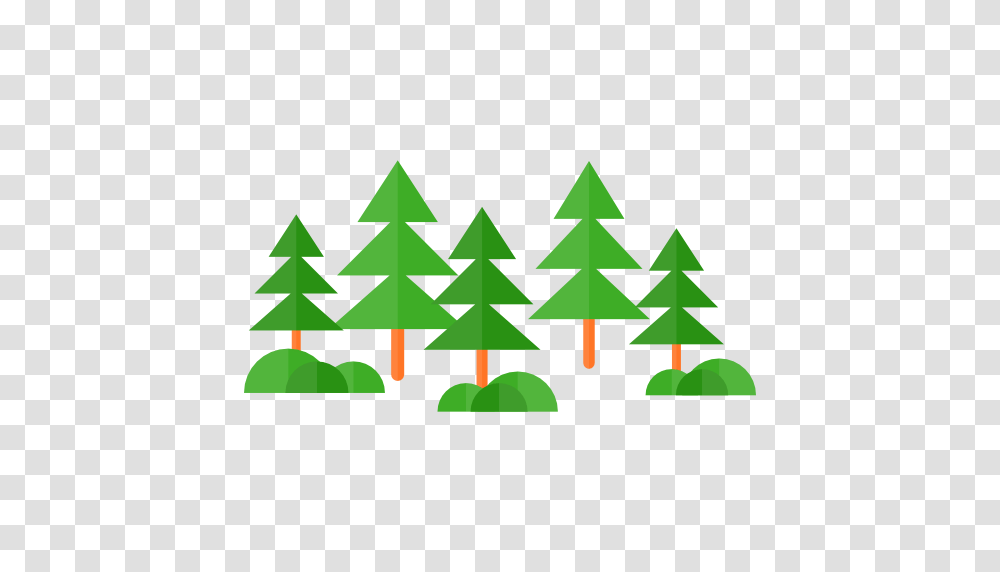Forest, Tree, Plant, Ornament, Christmas Tree Transparent Png