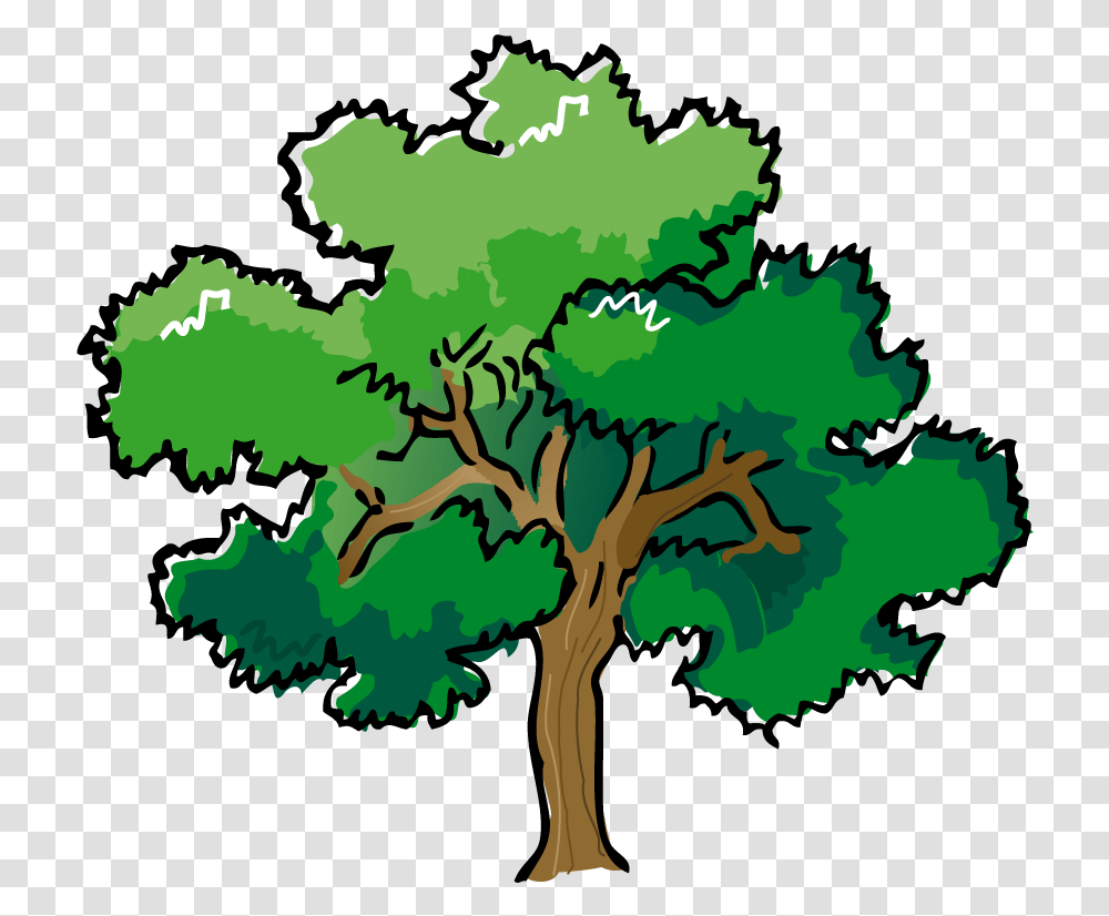 Forest Trees Clip Art Free Clipart Images Clipartbarn Trees Drawing With Color, Plant, Vegetation, Nature, Outdoors Transparent Png