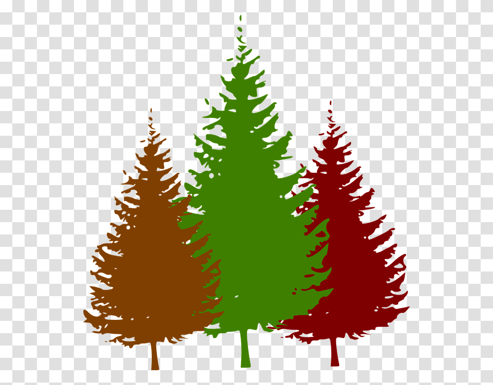 Forest Trees Clip Art Free Cliparts, Plant, Ornament, Christmas Tree, Pine Transparent Png