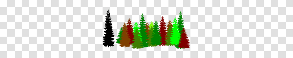 Forest Trees Clip Art, Plant, Ornament, Christmas Tree, Pine Transparent Png