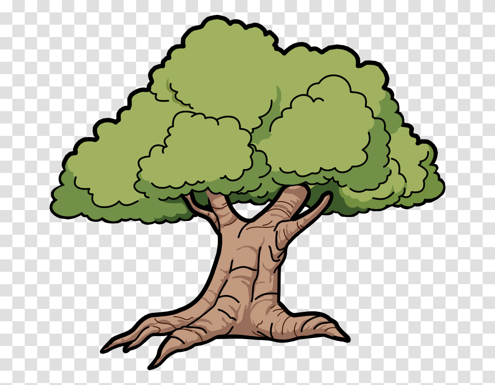 Forest Trees Clipart, Plant, Vegetable, Food, Lion Transparent Png