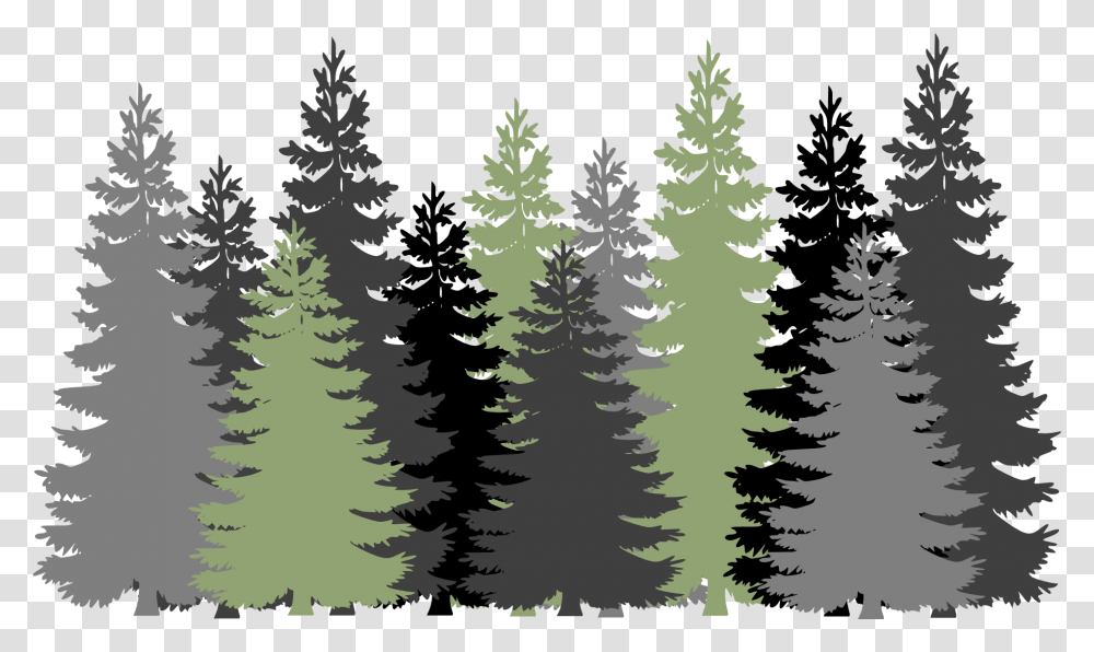 Forest Trees Evergreen Conifers Pines Gray Green Pine Tree Forest Svg, Plant, Fir, Abies, Spruce Transparent Png