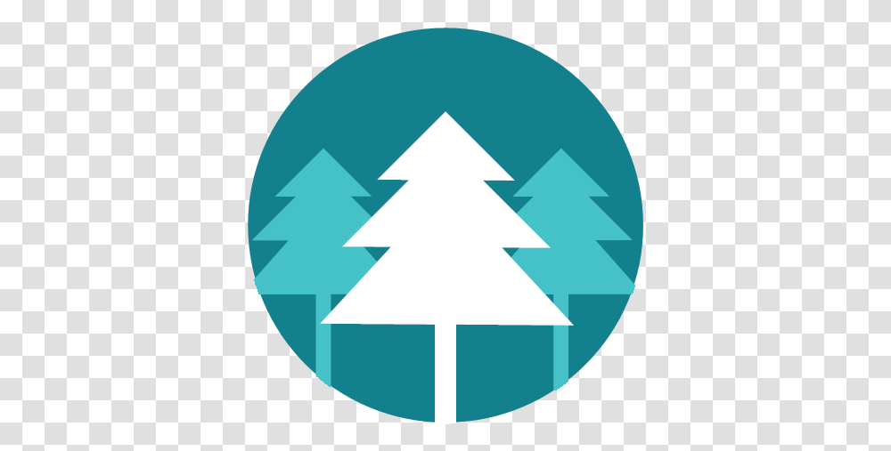 Forest Trees Icon For, Symbol, Lighting, Outdoors, Nature Transparent Png