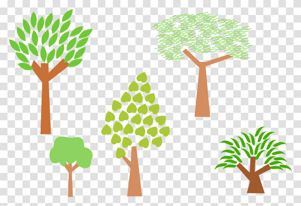 Forest Trees Plants Nature Environment Leaf, Vegetation, Green, Land, Outdoors Transparent Png