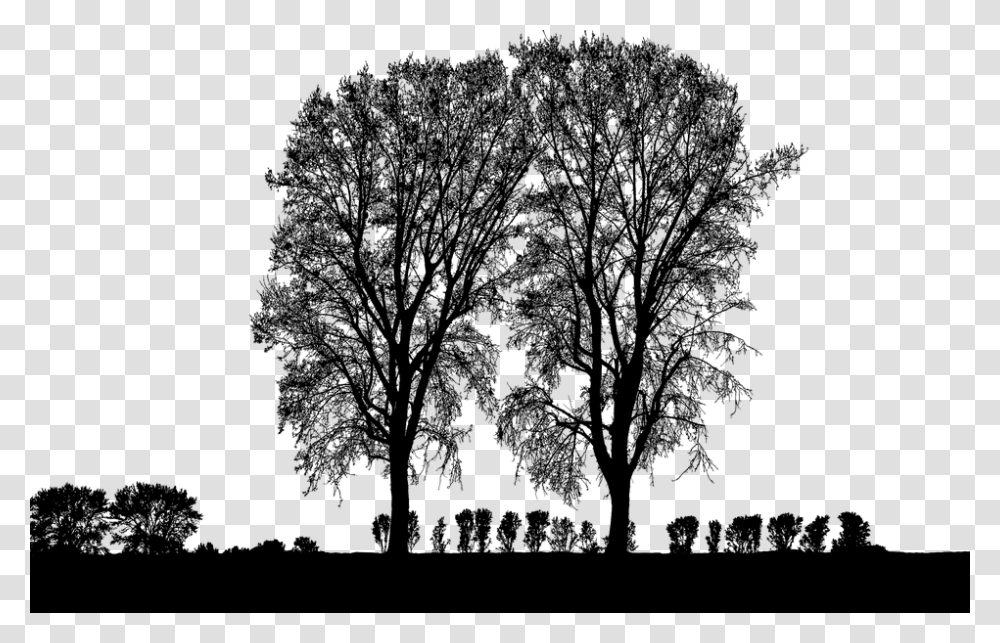 Forest Trees Silhouette Tree Branches Landscape Silhouette, Gray, World Of Warcraft Transparent Png