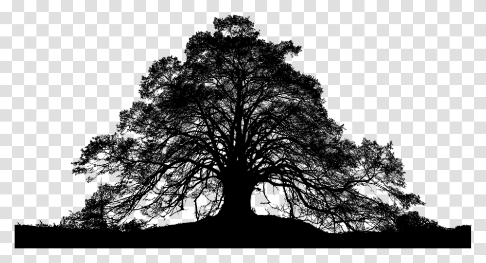 Forest Trees Silhouette Tree Landscape Nature Silhouette Forest Vector, Gray, World Of Warcraft Transparent Png